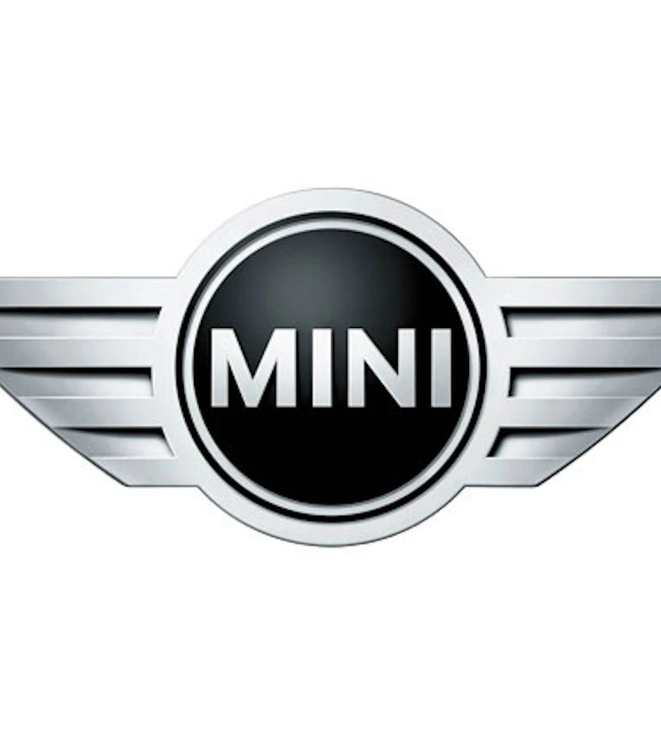Logotipo De Mini Vinnies
