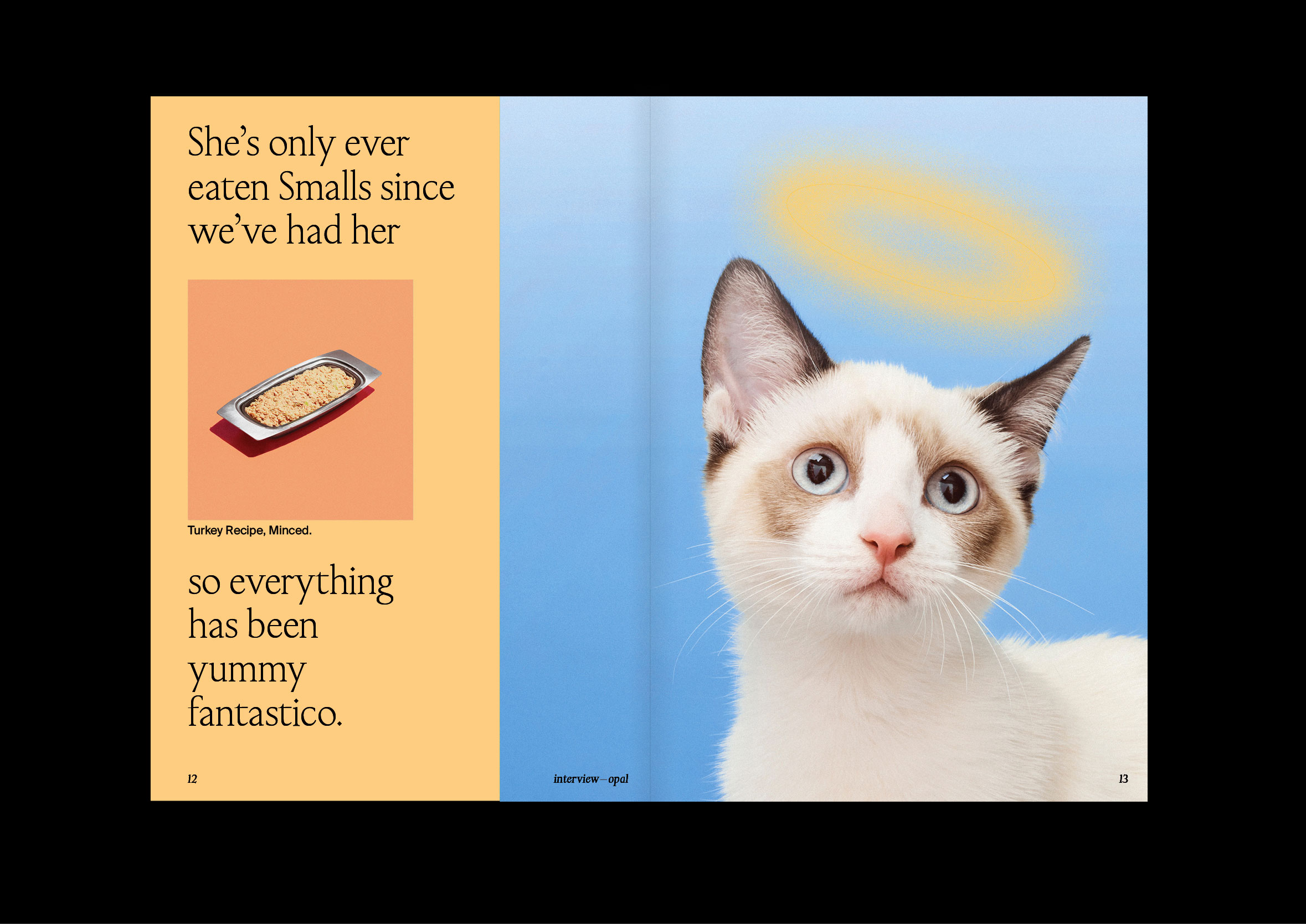 The world's first font inspired by cats aims to evoke their