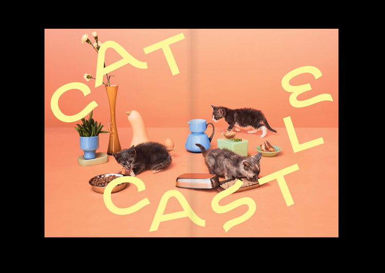 The world's first font inspired by cats aims to evoke their